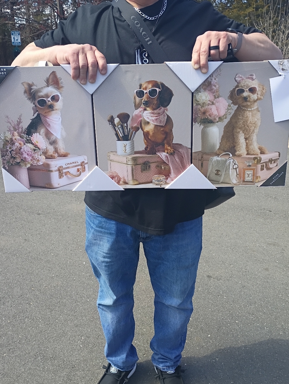 Three-piece Fashion Wall Art
